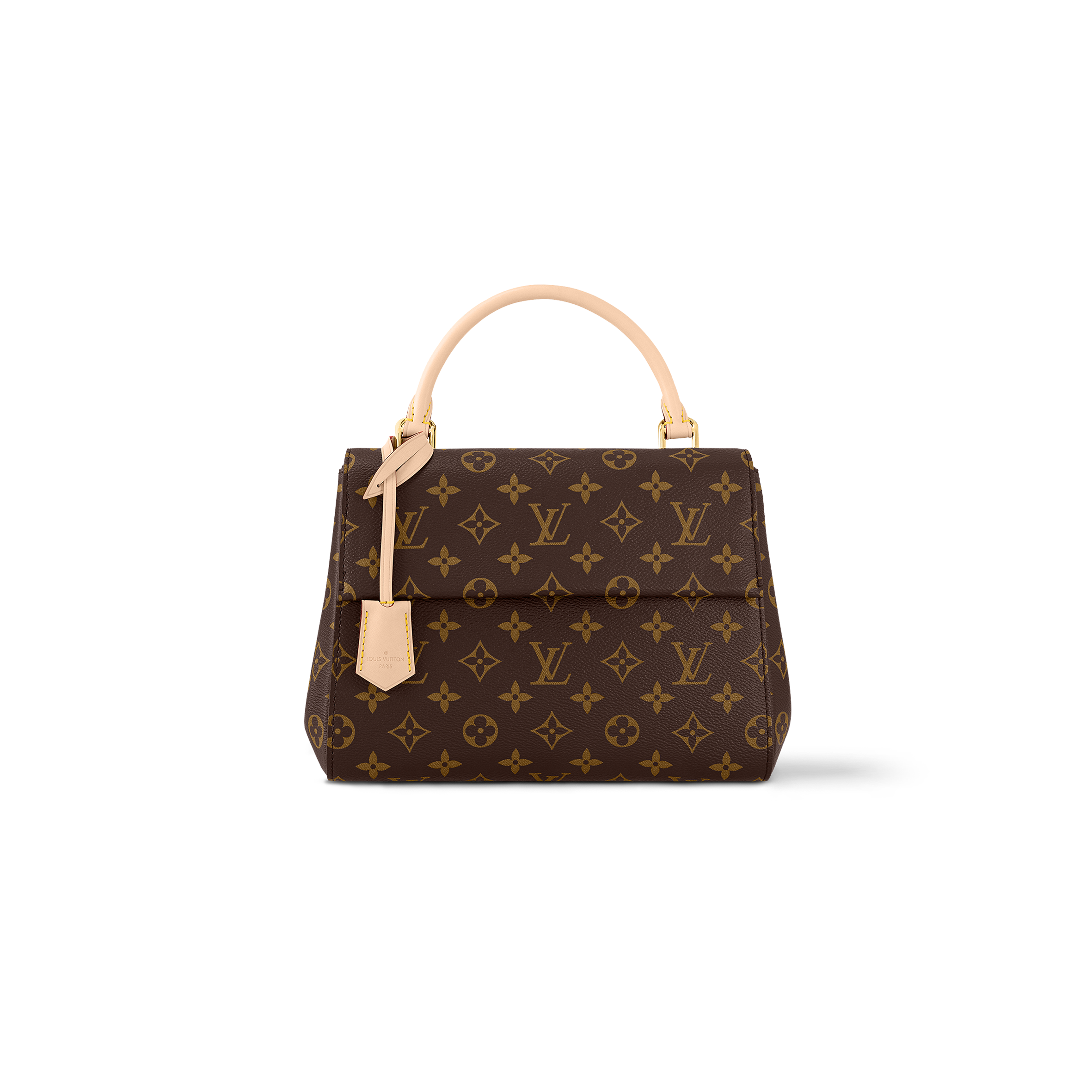 LOUIS VUITTON CLUNY BB M46372 (28*20*10cm)